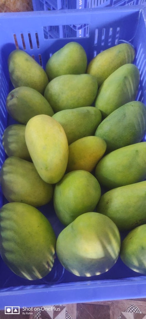 Komatha Fresh, de Ámsterdam / Países Bajos, es desde hace más de 10 años un comerciante reconocido y respetado de frutas de primera calidad, como uvas