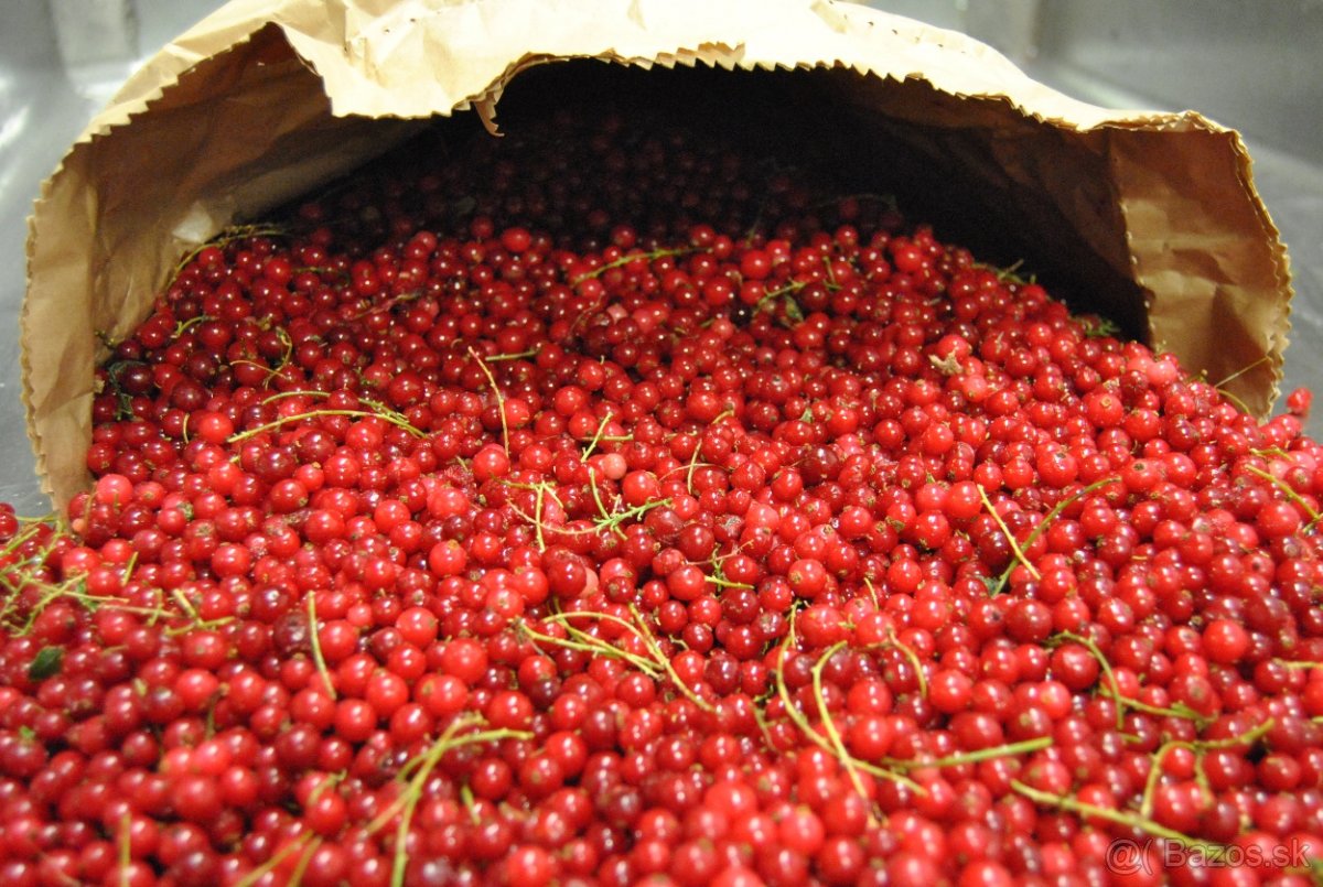 Ofrezco una mayor cantidad de fruta congelada de Eslovaquia, temporada 2020, envasada en bolsas de comida de 25 kg -5 grados
