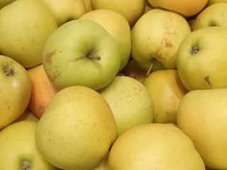Una empresa polaca tiene a la venta manzanas industriales.