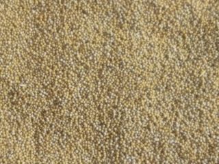Venderé 3,5 toneladas de mostaza blanca. Para obtener más