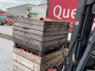 ¡Deliciosas manzanas Golden e Idared directamente de la huerta