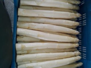 Venderé una tonelada de espárragos blancos, calibre 20-26. precio
