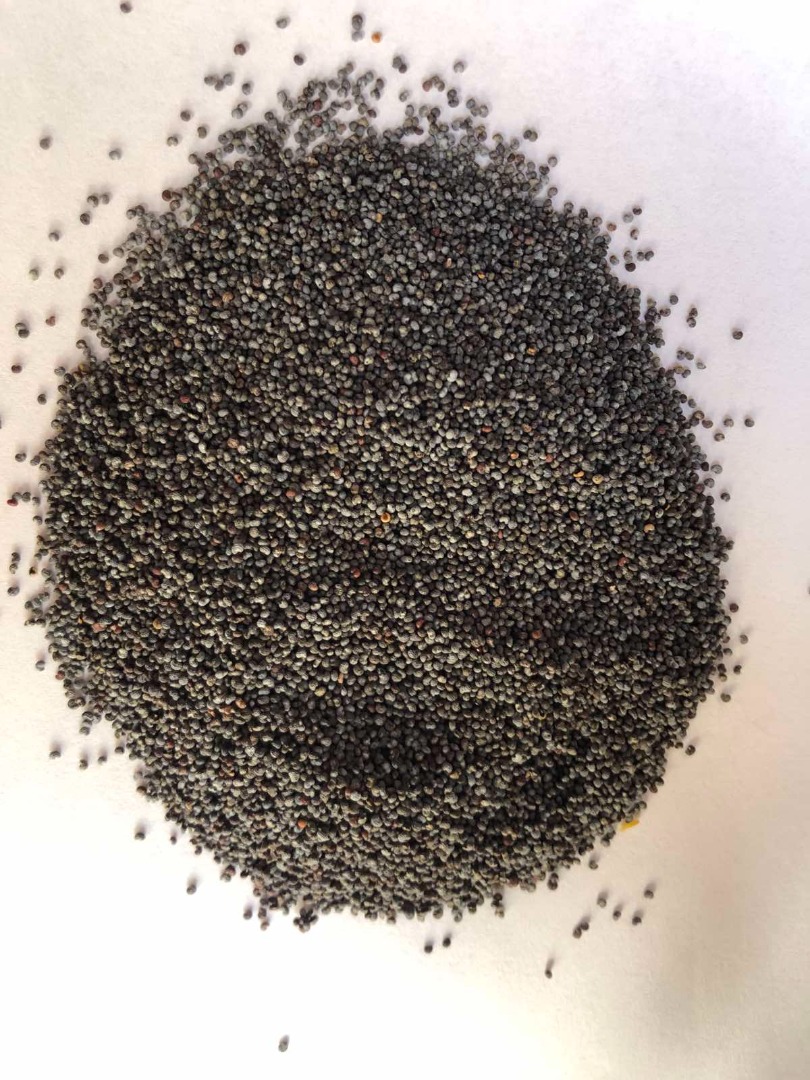 La empresa vende Poppy Blue en el país de origen de Gran Bretaña o Hungría
