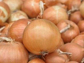 El producto ECO real alrededor de 80T Desde 2020