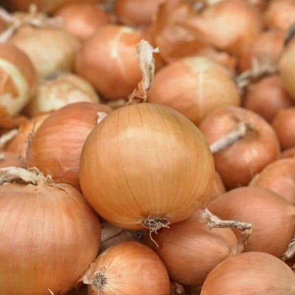 El producto ECO real alrededor de 80T Desde 2020 No dude en contactarme