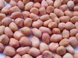 Soja, maíz, cacahuete de alta calidad.