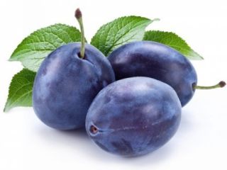 ciruela pasa cicarscaia rania 21iulie ciruela stelnei 12 de
