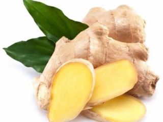 Producto Jengibre joven y viejo fresco (cosechas nuevas de