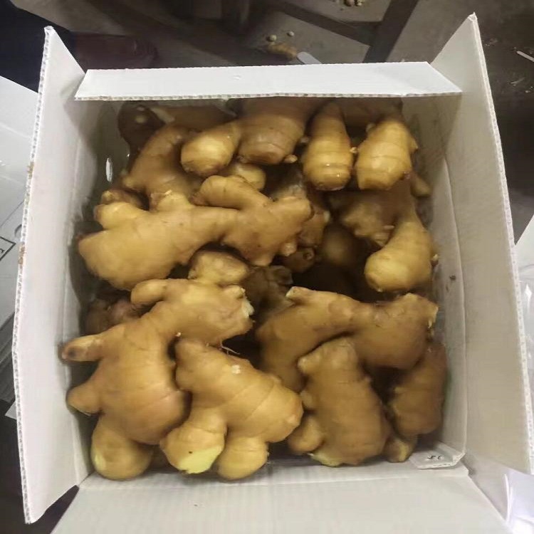 Producto Jengibre joven y viejo fresco (cosechas nuevas de 2020 y antiguas de 2019) Origen Tailandia Tipo de origen Jengibre fresco lavado, jengibre secado al