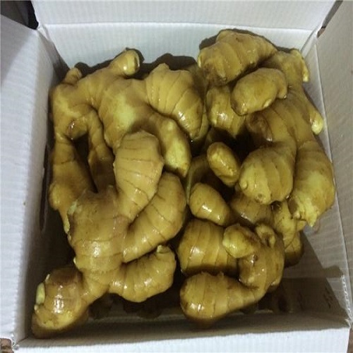 Producto Jengibre joven y viejo fresco (cosechas nuevas de 2020 y antiguas de 2019) Origen Tailandia Tipo de origen Jengibre fresco lavado, jengibre secado al