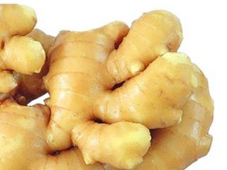 Producto Jengibre joven y viejo fresco (cosechas nuevas de