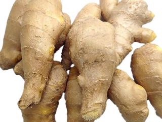 Producto Jengibre joven y viejo fresco (cosechas nuevas de