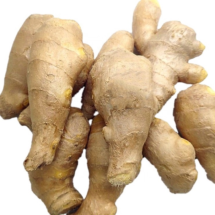 Producto Jengibre joven y viejo fresco (cosechas nuevas de 2020 y antiguas de 2019) Origen Tailandia Tipo de origen Jengibre fresco lavado, jengibre secado al
