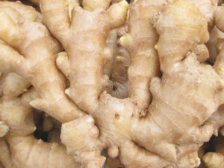 Producto Jengibre joven y viejo fresco (cosechas nuevas de