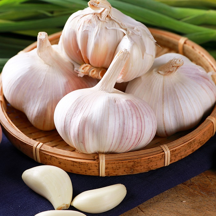 Ajo rico en nutrientes: cada 100 gramos de agua que contiene 69,8 gramos, 4,4 gramos de proteína, 0,2 gramos de grasa, ajo con carbón Ajo (22 hojas) Compuesto