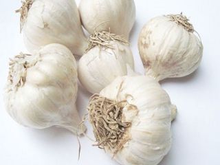 Ajo rico en nutrientes: cada 100 gramos de agua
