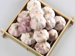 Ajo rico en nutrientes: cada 100 gramos de agua