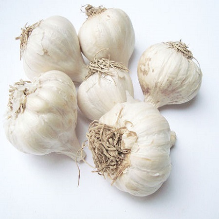 Ajo rico en nutrientes: cada 100 gramos de agua que contiene 69,8 gramos, 4,4 gramos de proteína, 0,2 gramos de grasa, ajo con carbón Ajo (22 hojas) Compuesto