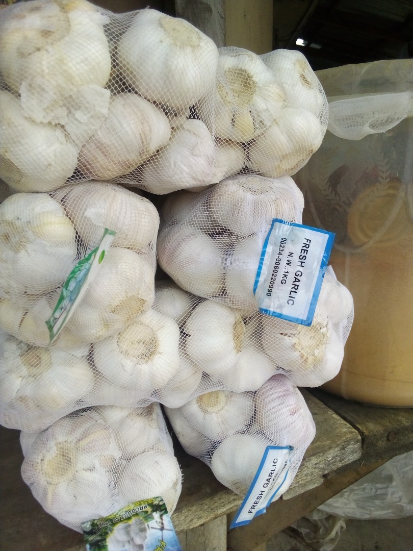 El ajo (Allium sativum), se utiliza ampliamente como aromatizante en la cocina, pero también se ha utilizado como medicina a lo largo de la historia antigua y