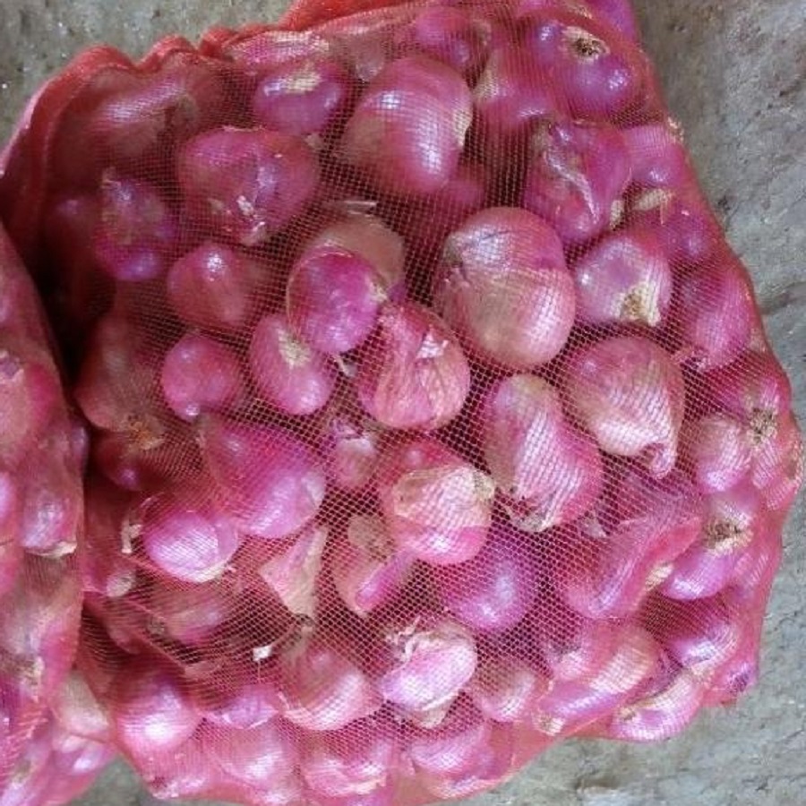 Venta al por mayor Cebollas Cebolla Roja Fresca a Granel