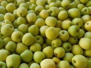 Hola. Venderé 40 toneladas de manzanas. Golden Delicious 65+
