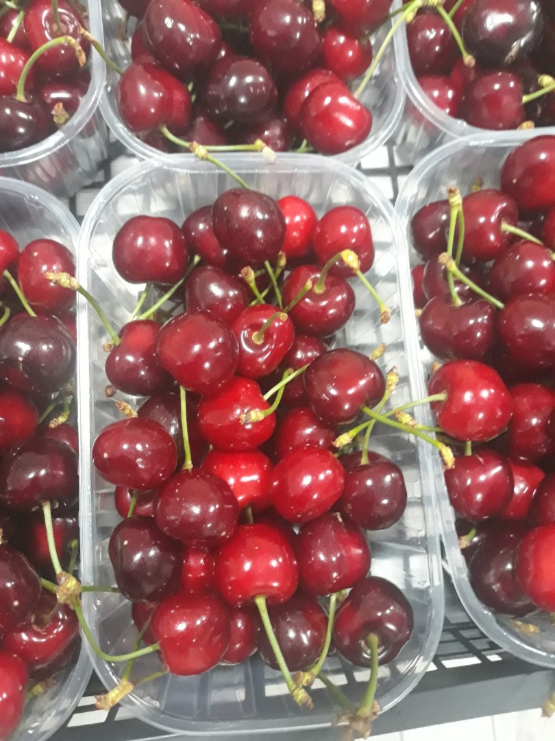 Aproximadamente 5 días será alvelible por cantidad de cerezas dulces de Serbia