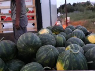 Arbuzy Bostana, Selini, Carabela. Viber Vatsap