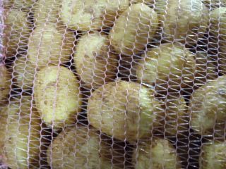 Cebollas blancas frescas. 50+. Viber Vatsap