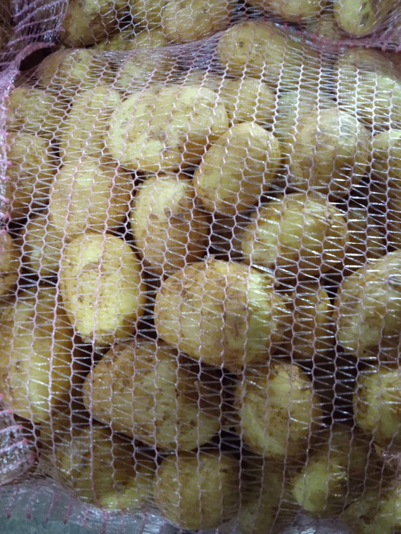 Cebollas blancas frescas