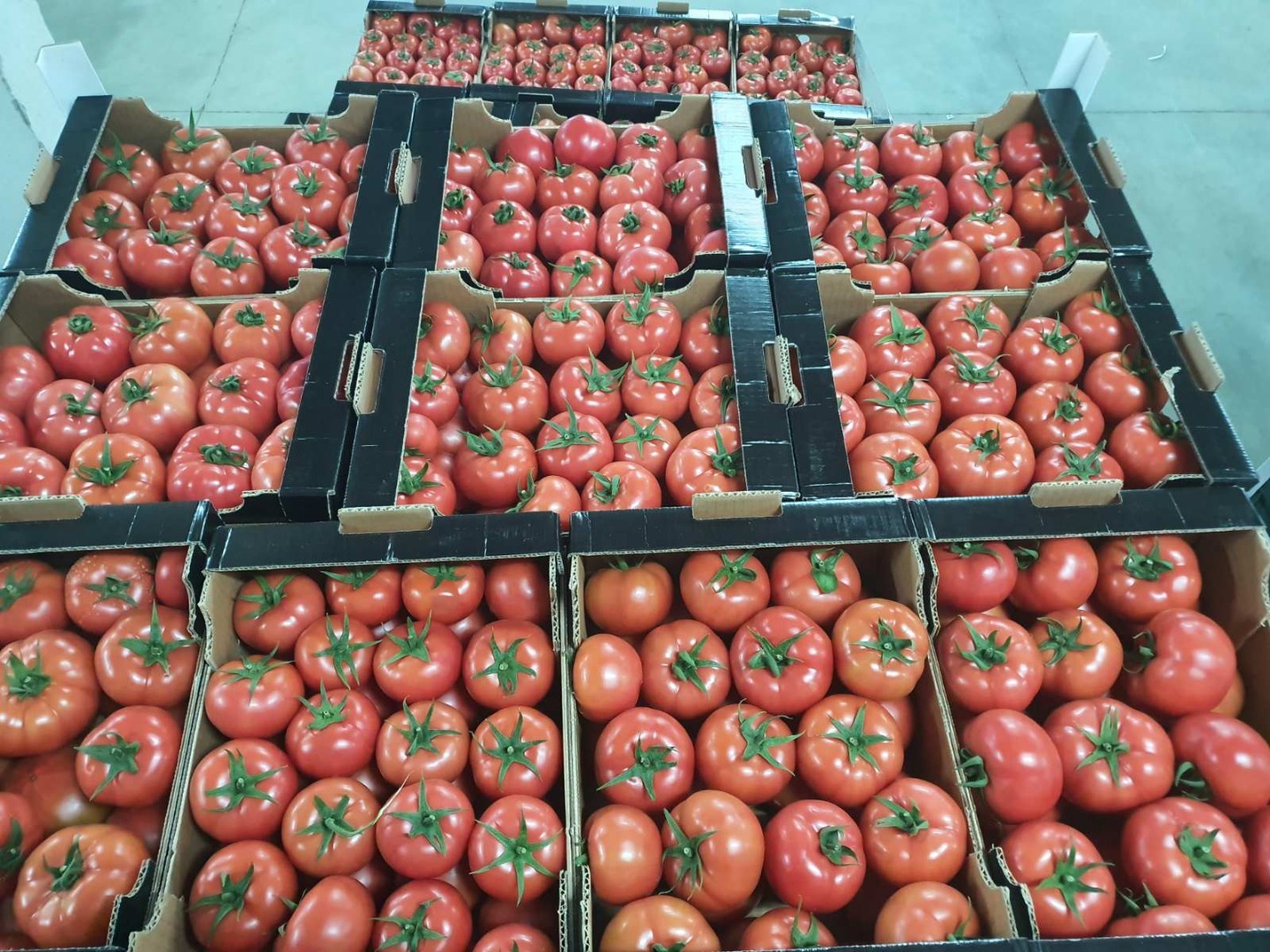 Tomates Macedonia, embalaje opcional