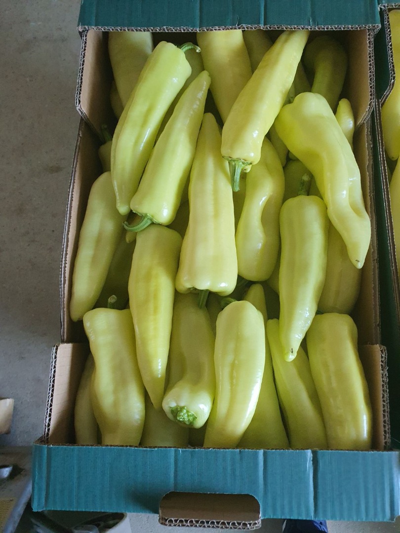 Arco Macedonia, Strumica