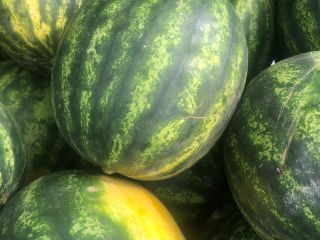 Vendo melones. Calidad 1. Traído 29.05. Para más detalles