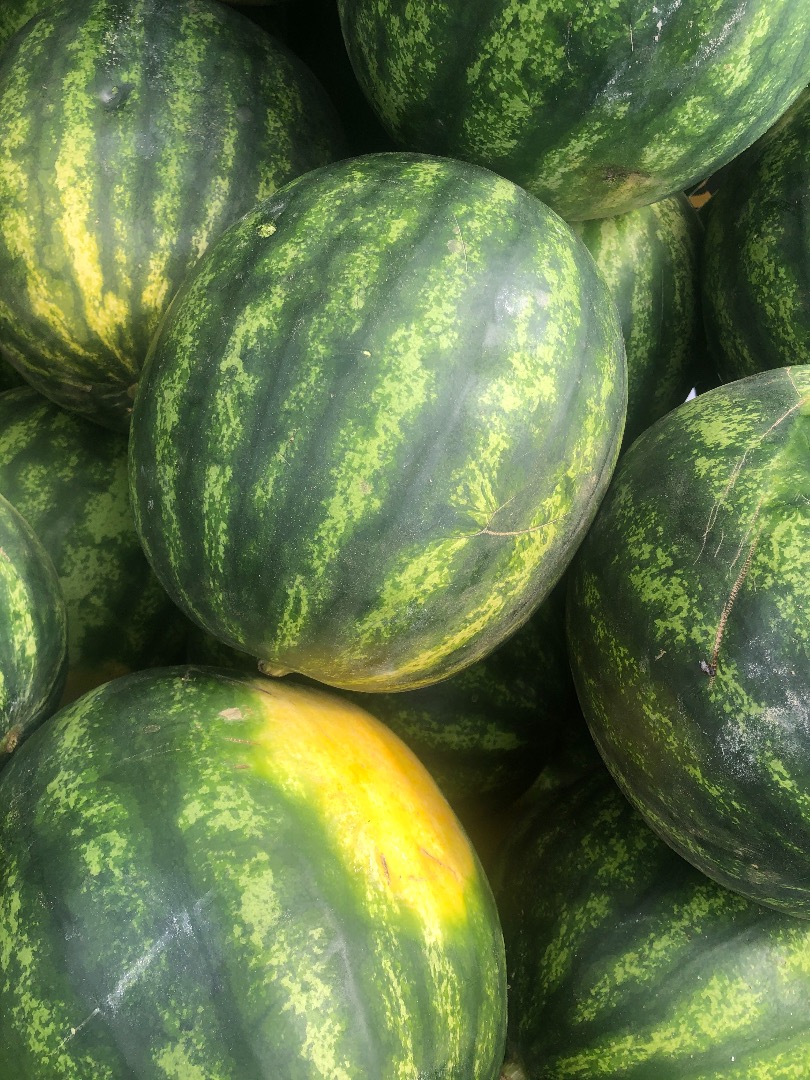 Vendo melones