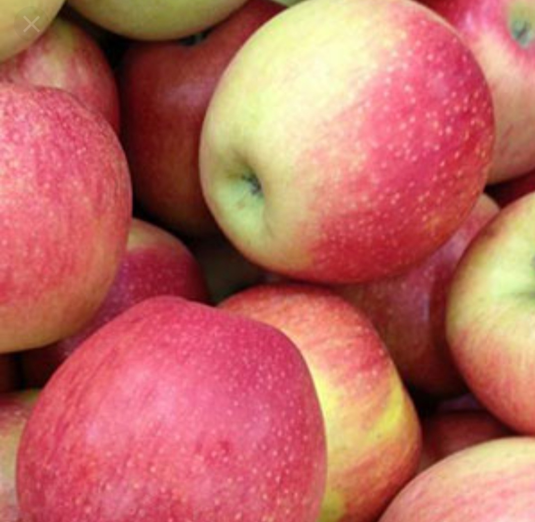 Vendemos manzanas Idared de la nevera