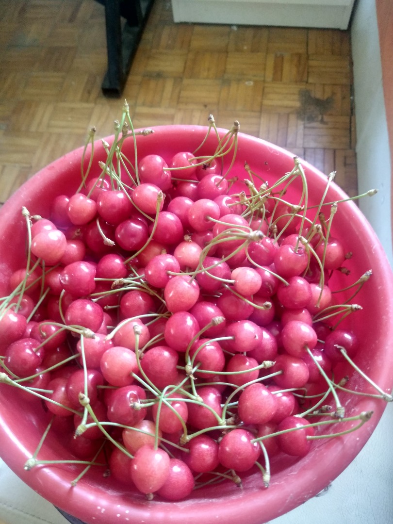 Los invito a comprar cerezas, la variedad de mayo