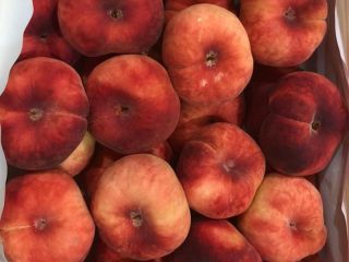 Busco producción de paraguayo para exportar a mercados dentro