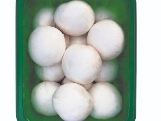 Champiñones ecológicos blancos / marrones Todos los tamaños, todos