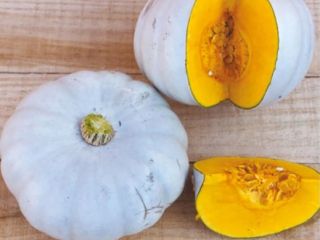 Variedad de calabaza: Cucurbita maxima