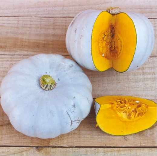 Variedad de calabaza: Cucurbita maxima