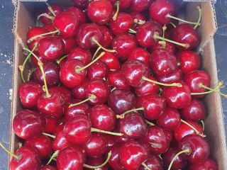 cerezas Alcala la real
