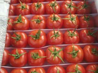 Frutas jugosas; Verduras carnosas; Legumbres y productos secos ricos