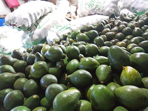 Hola, Tengo Aguacate Hass a la venta a granel