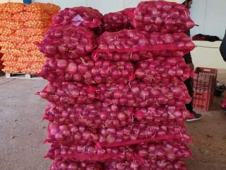 Vendo cebollas de Grecia