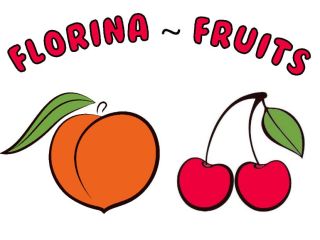 FIA GOGOT FRUIT ES LA EMPRESA DE GRECIA, QUE