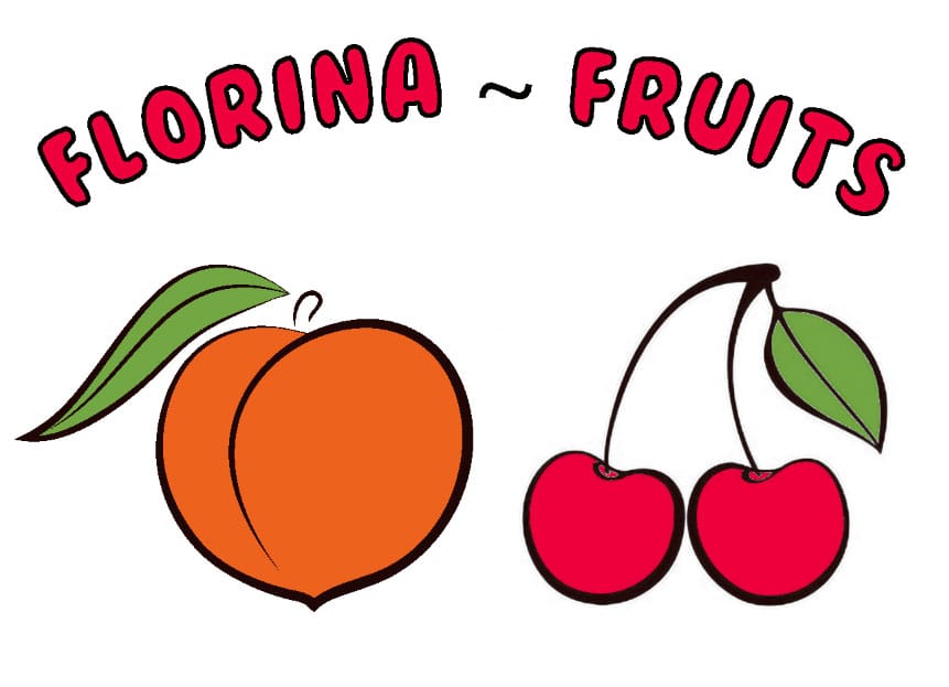 FIA GOGOT FRUIT ES LA EMPRESA DE GRECIA, QUE LE OFRECE LA GARANTIA DE FRUTAS FRESCAS Y DE CALIDAD A PRECIO DEL FABRICANTE, SELECCIONAMOS Y EMBALAJES SEGÚN SUS
