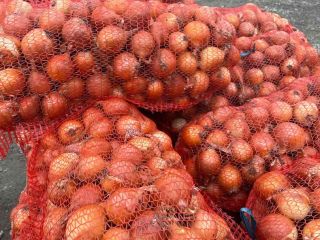 Origen de la cebolla Moldavia, fruta 2020 Sin calibrar,