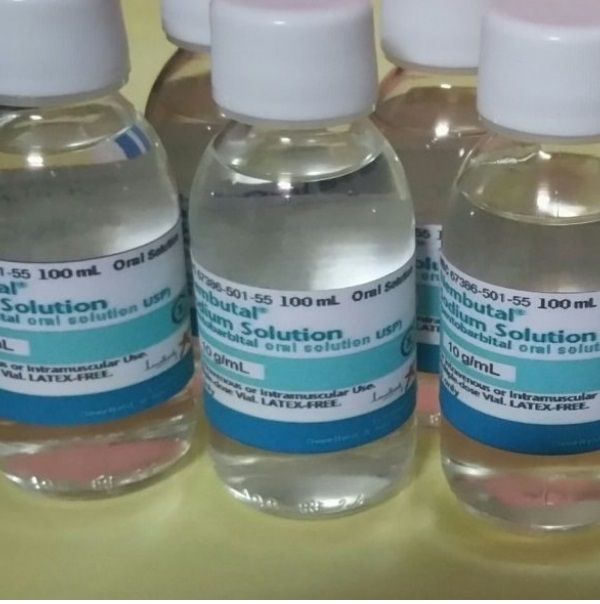pentobarbital utilizado como anestésico Te garantizamos que esta será la última tienda donde comprarás Nembutal