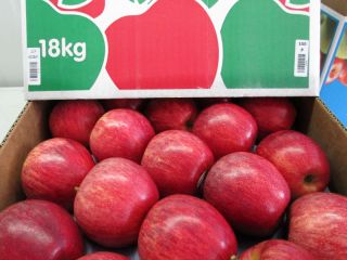 Suministramos manzanas frescas, de alta calidad. Dulce y crujiente,