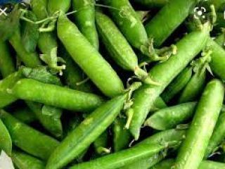Vendo guisantes ecológicos y de calidad. Ubicación: Slobozia, Arges