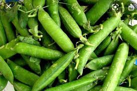 Vendo guisantes ecológicos y de calidad
